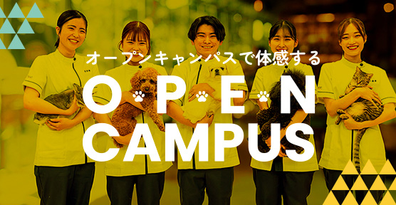 オープンキャンパスで体感する Open Campus