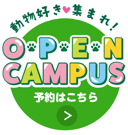動物好き集まれ！Open Campus 予約はこちら