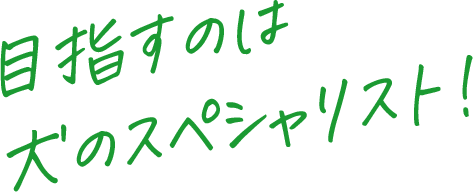 目指すのは犬のスペシャリスト！