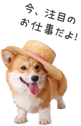 犬