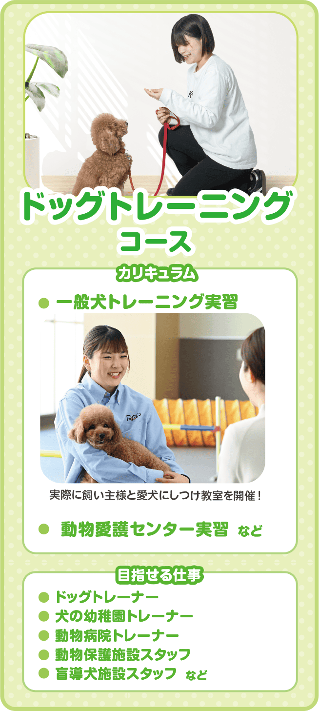 ドッグトレーニングコース
