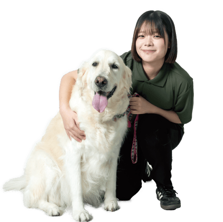 ドッグトレーナー