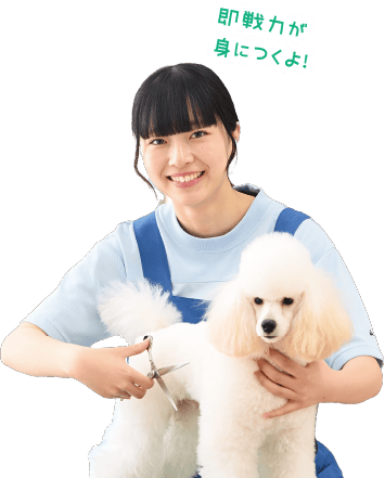 即戦力が身に付くよ！