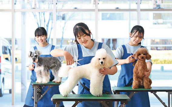 「一般モデル犬実習」の様子