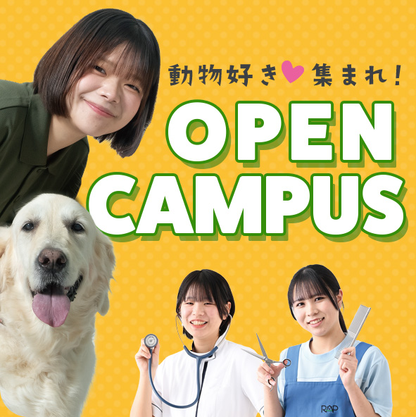 Open Campus