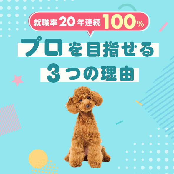 プロを目指せる3つの理由